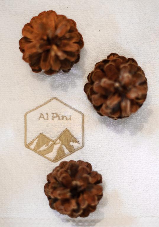זקופאנה Alpini Apartamenty חדר תמונה